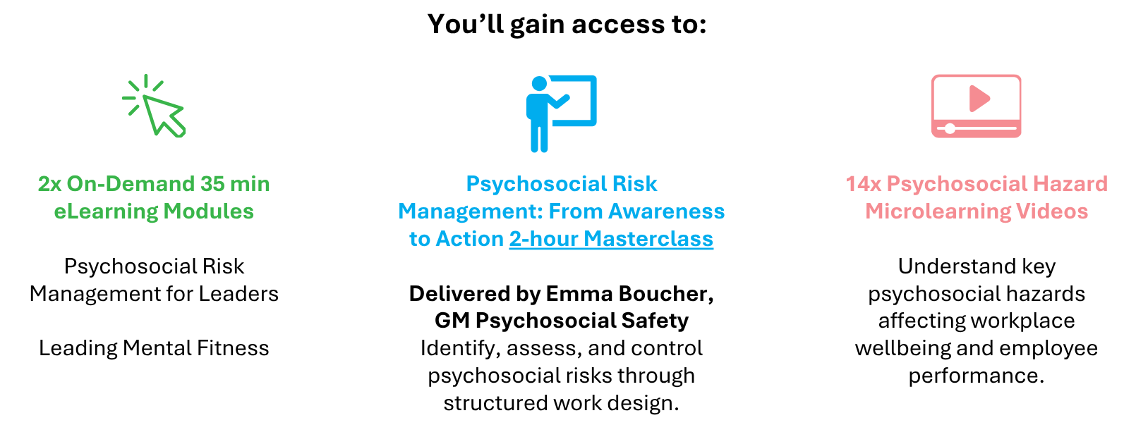 Psychosocial Risk Leader Accelerator